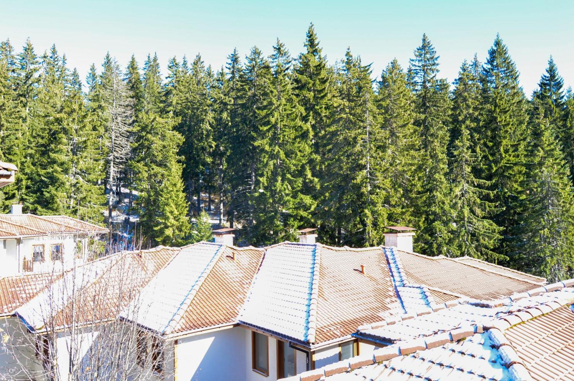 Myplace Pamporovo Апартаменти За Отдих Экстерьер фото